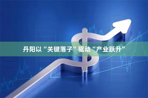 丹阳以“关键落子”驱动“产业跃升”