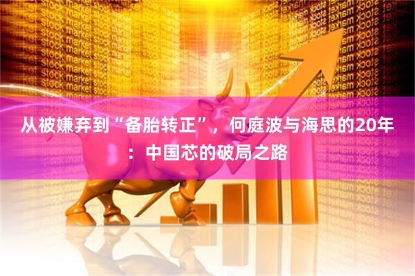 从被嫌弃到“备胎转正”,何庭波与海思的20年:中国芯的破局之路