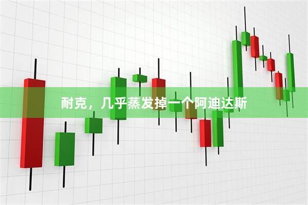 耐克，几乎蒸发掉一个阿迪达斯