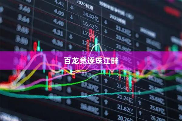 百龙竞逐珠江畔