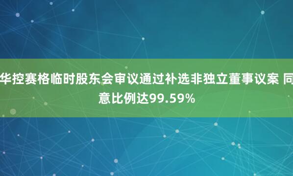 华控赛格临时股东会审议通过补选非独立董事议案 同意比例达99.59%